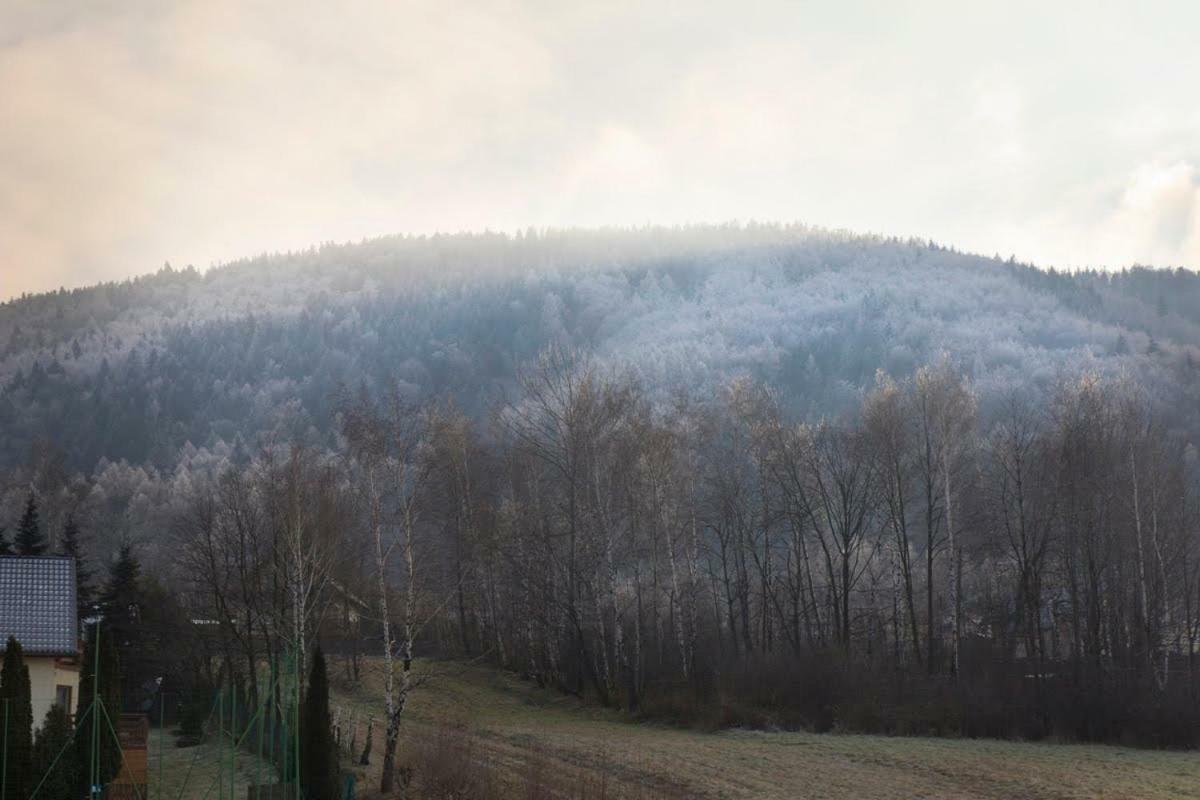 Noclegi Na Bukowym Stoku Czaniec Extérieur photo