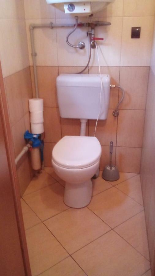 Noclegi Na Bukowym Stoku Czaniec Extérieur photo
